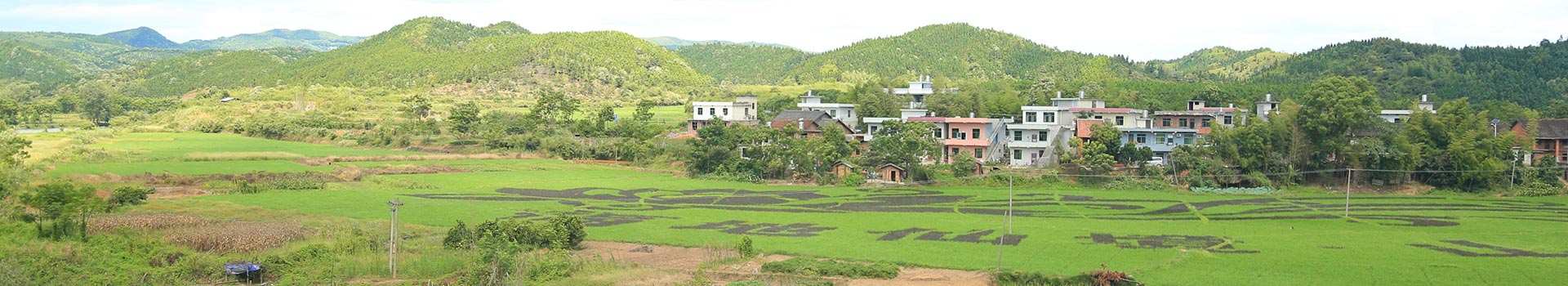 游客體驗 游客體驗